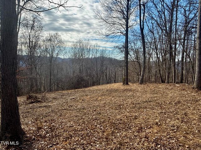 219 Ridge Road, Eidson, TN 37731