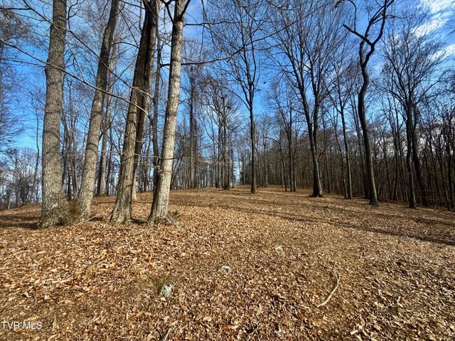 219 Ridge Road, Eidson, TN 37731
