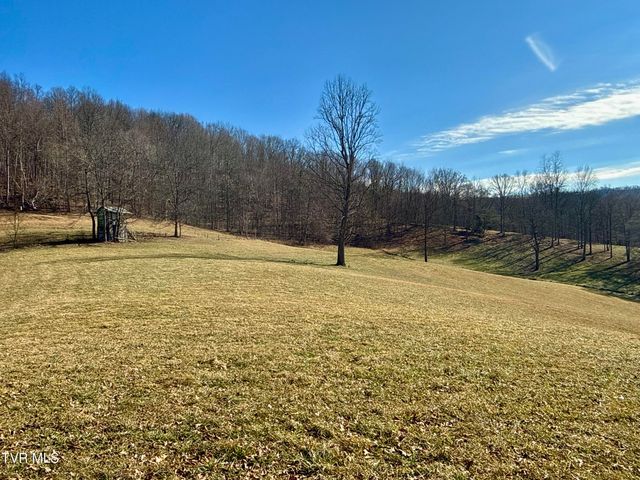 219 Ridge Road, Eidson, TN 37731
