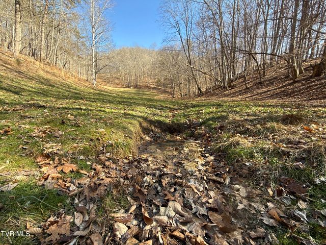 219 Ridge Road, Eidson, TN 37731