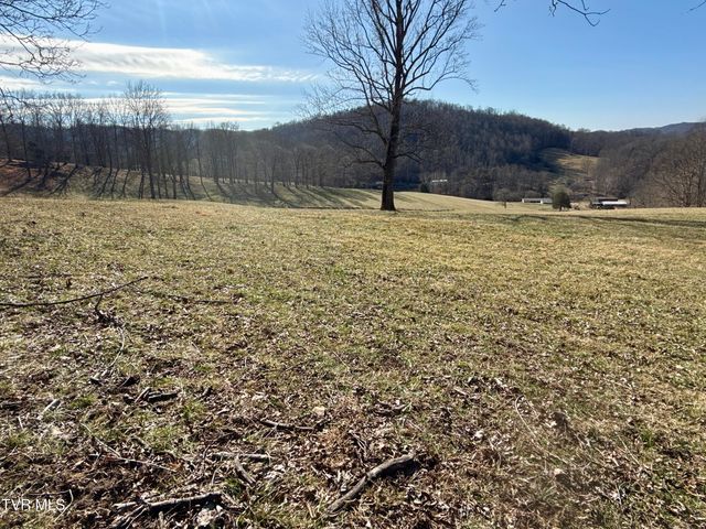 219 Ridge Road, Eidson, TN 37731