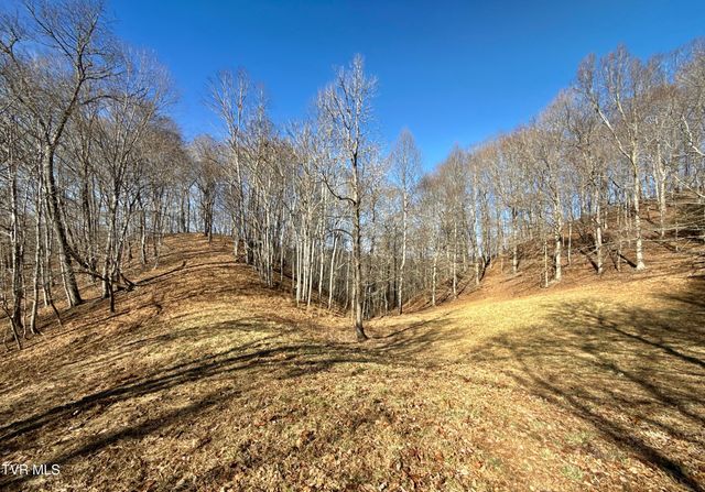 219 Ridge Road, Eidson, TN 37731