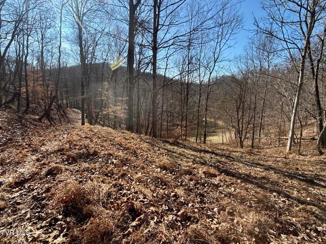 219 Ridge Road, Eidson, TN 37731