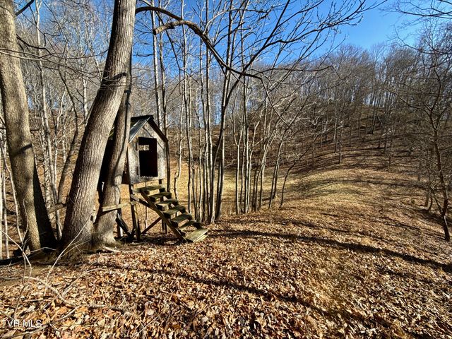 219 Ridge Road, Eidson, TN 37731