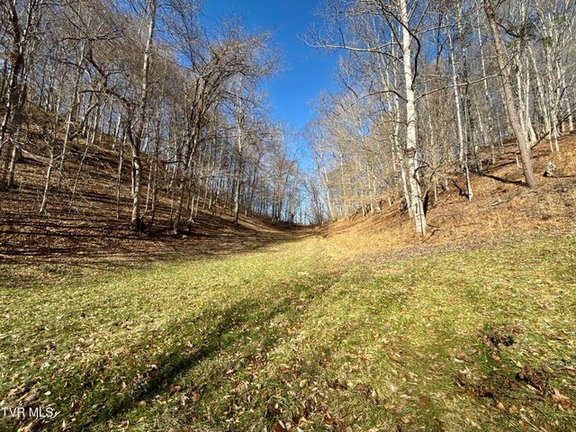219 Ridge Road, Eidson, TN 37731