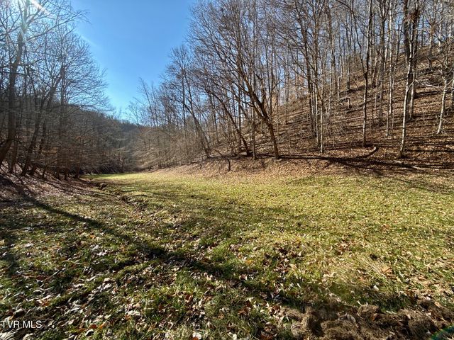 219 Ridge Road, Eidson, TN 37731