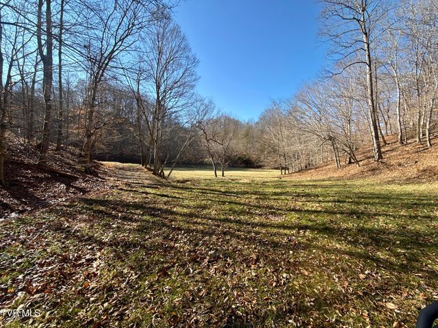 219 Ridge Road, Eidson, TN 37731