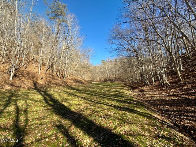 219 Ridge Road, Eidson, TN 37731
