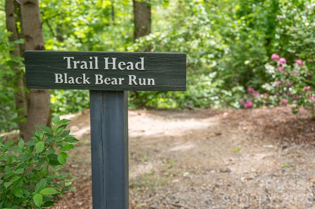 20 Higdon Lane, Fairview, NC 28730