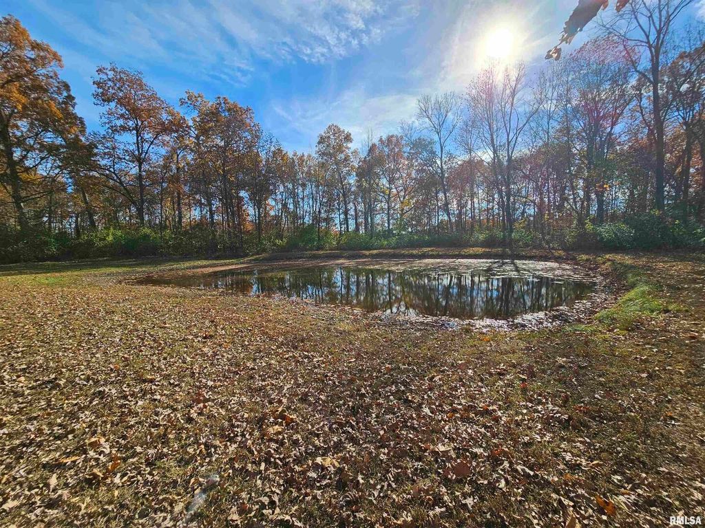 Image 33 of property listing at 4248 CHURCH Road, Salem, IL 62881