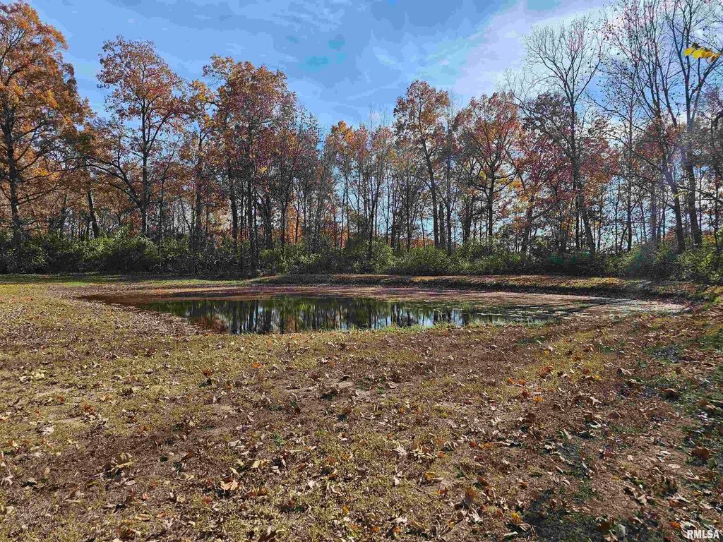 Image 34 of property listing at 4248 CHURCH Road, Salem, IL 62881