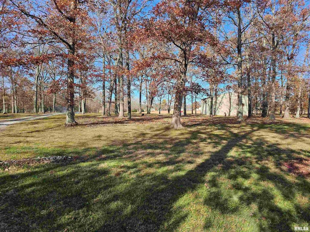 Image 37 of property listing at 4248 CHURCH Road, Salem, IL 62881