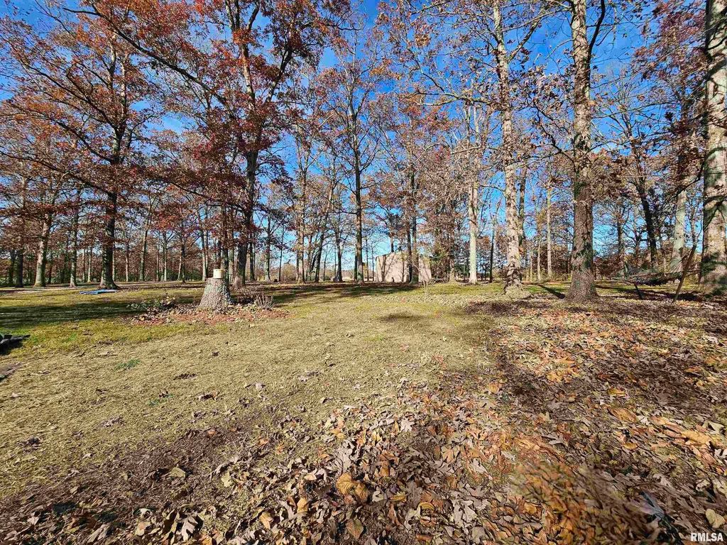 Image 38 of property listing at 4248 CHURCH Road, Salem, IL 62881