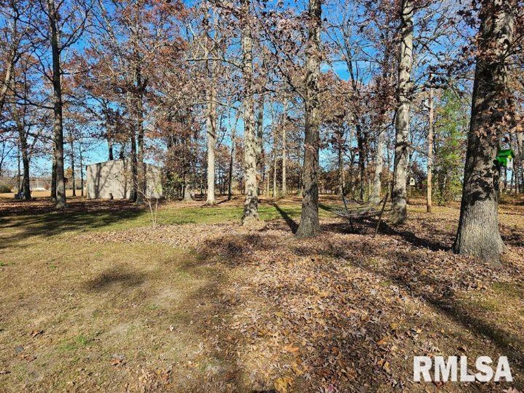 Image 55 of property listing at 4248 CHURCH Road, Salem, IL 62881