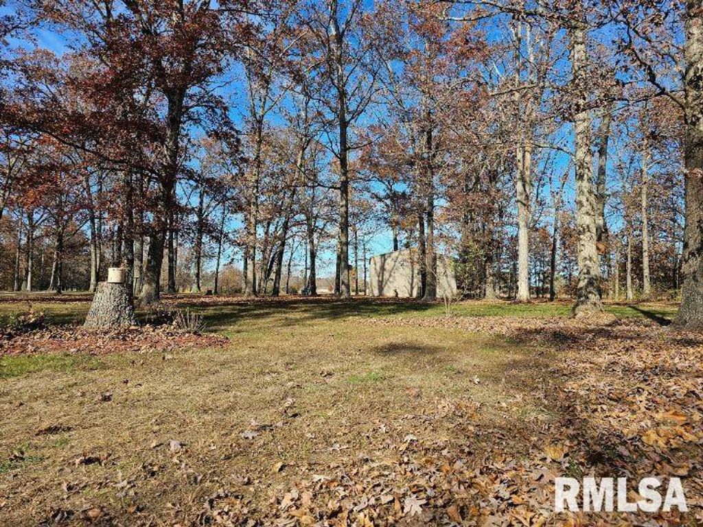 Image 56 of property listing at 4248 CHURCH Road, Salem, IL 62881