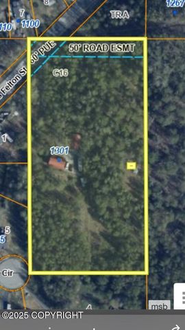1301 S Felton Street, Palmer, AK 99645