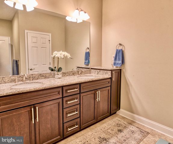 19151 CAVENDISH WAY, Lewes, DE 19958