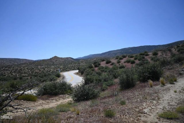 Big Pines, Llano, CA 93544