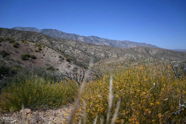 Big Pines, Llano, CA 93544