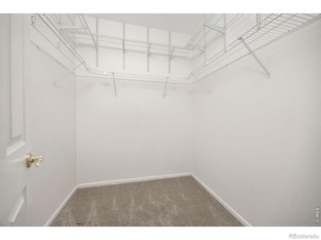 1302 Armsley Court, Fort Collins, CO 80525