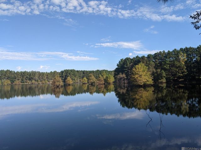 10086 La Hwy 68, Jackson, LA 70748