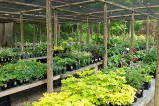 373 N Franklin St, Holbrook, MA 02343