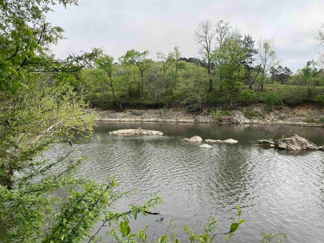 392 Serendipity Lane, Oden, AR 71961