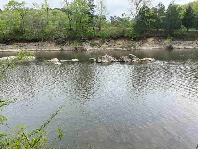392 Serendipity Lane, Oden, AR 71961
