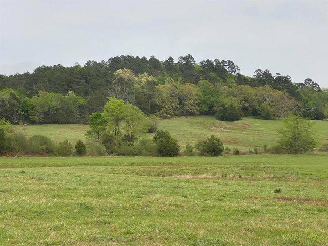 392 Serendipity Lane, Oden, AR 71961