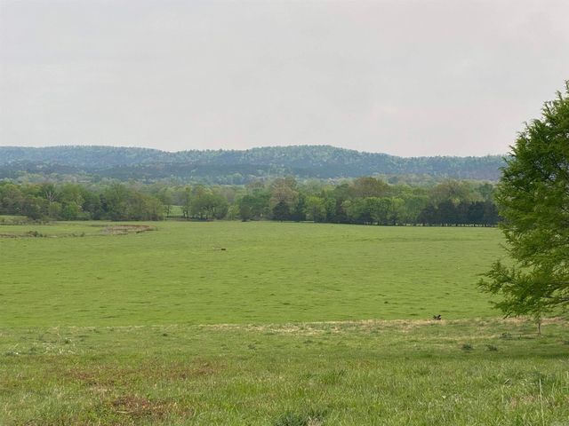 392 Serendipity Lane, Oden, AR 71961