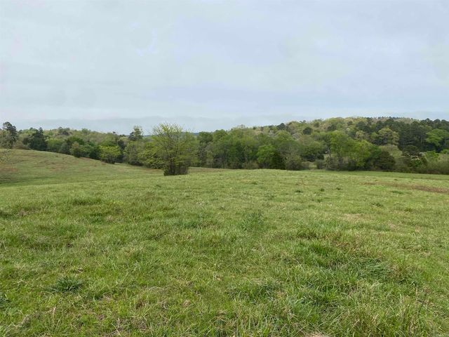 392 Serendipity Lane, Oden, AR 71961