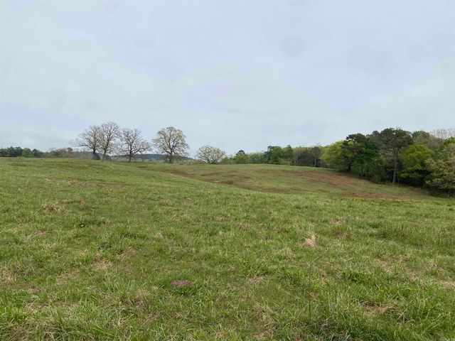 392 Serendipity Lane, Oden, AR 71961