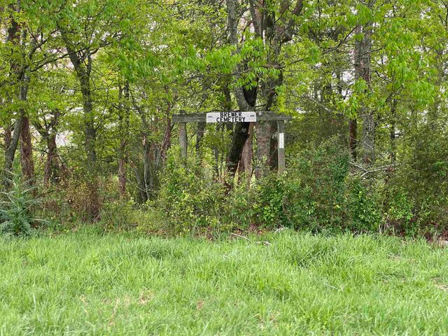 392 Serendipity Lane, Oden, AR 71961