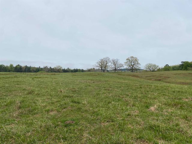 392 Serendipity Lane, Oden, AR 71961