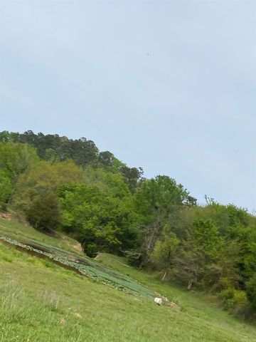 392 Serendipity Lane, Oden, AR 71961