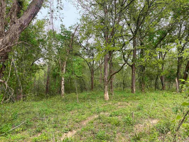 392 Serendipity Lane, Oden, AR 71961