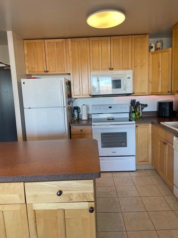 3930 N Pine Grove Avenue 2405, Chicago, IL 60613