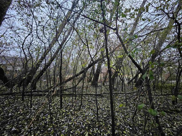 2634 Hamilton Street, Portage, WI 53901