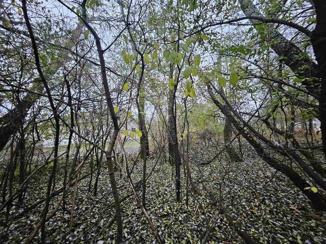 2634 Hamilton Street, Portage, WI 53901