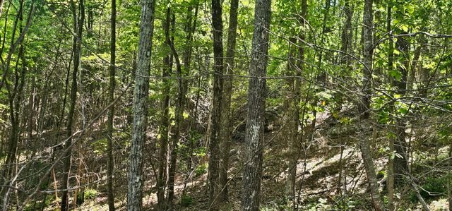 0 Bluffview Dr 558 &559, Dunlap, TN 37327