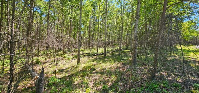 0 Bluffview Dr 558 &559, Dunlap, TN 37327