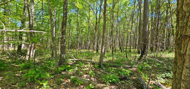 0 Bluffview Dr 558 &559, Dunlap, TN 37327
