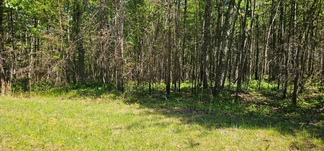 0 Bluffview Dr 558 &559, Dunlap, TN 37327