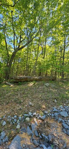 0 Bluffview Dr 558 &559, Dunlap, TN 37327