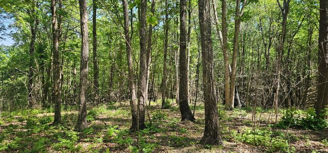 0 Bluffview Dr 558 &559, Dunlap, TN 37327