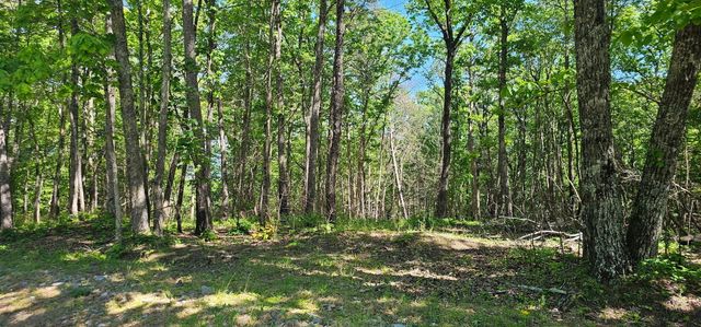 0 Bluffview Dr 558 &559, Dunlap, TN 37327
