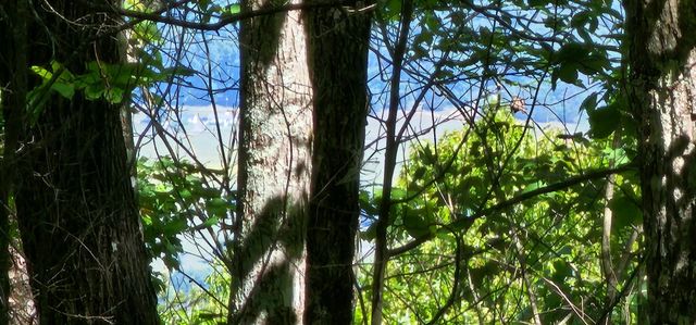 0 Bluffview Dr 558 &559, Dunlap, TN 37327