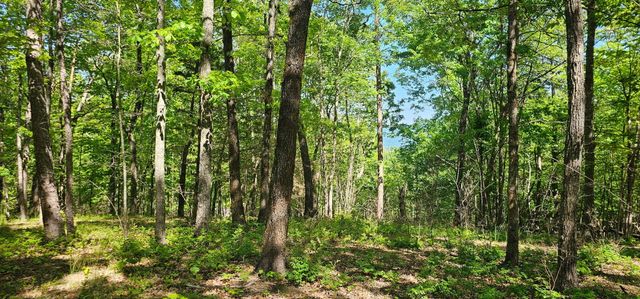 0 Bluffview Dr 558 &559, Dunlap, TN 37327