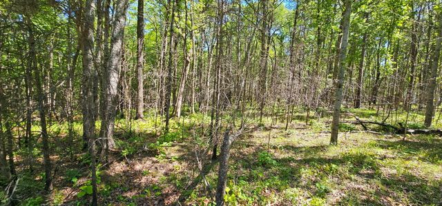 0 Bluffview Dr 558 &559, Dunlap, TN 37327