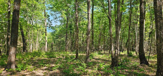 0 Bluffview Dr 558 &559, Dunlap, TN 37327